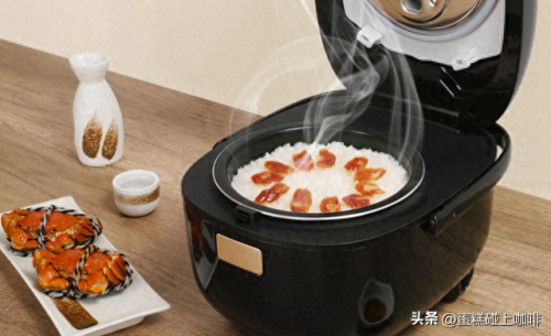 电炖杯迷你排名前十的品牌(小型电炖杯食谱)插图10