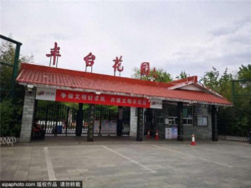北京西城免费公园排名前十(北京最好免费公园)插图18
