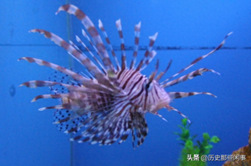 世界前十毒物排名(世界大宗商品前十排名)插图4