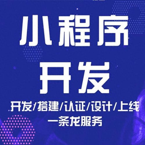 陕西企业软件开发排名前十(武汉软件开发公司排名第一名)插图