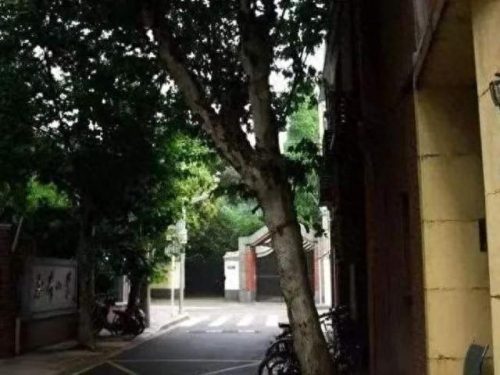 湖南公益超市排名前十(长沙超市排名前十名)插图18