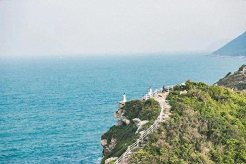 荷兰旅游排名前十(荷兰花海)插图25