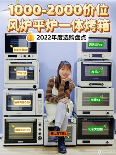 平价智能烤箱排名前十(十大商用烤箱排名前十)插图6