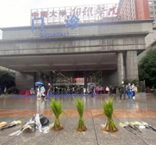 呵护星(40-50岁护肤品推荐)插图27