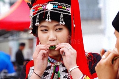 广西人口最少的市排名前十(广西最大人口城市排名)插图3