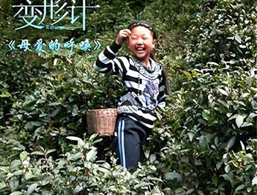 变形计施宁杰完整版(施宁杰现状)插图7