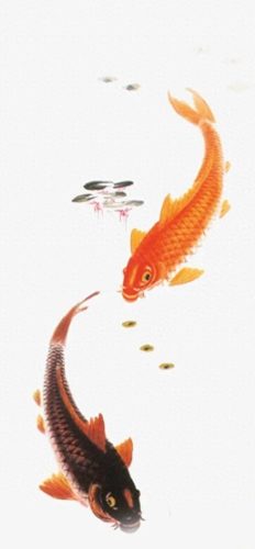 鱼鱼桌面秀(鱼鱼桌面秀侧边栏)插图48