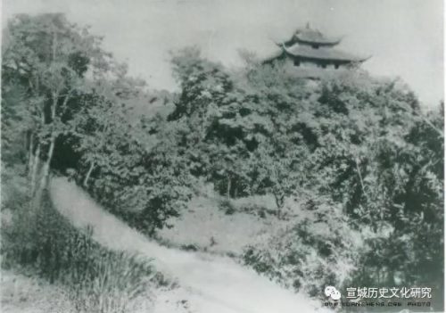 宣城茶馆排名前十(全国茶馆排名前十)插图1