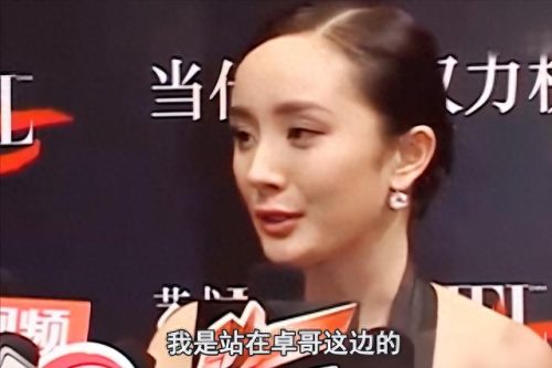 杨幂赵文卓(霍元甲赵文卓版电视剧)插图