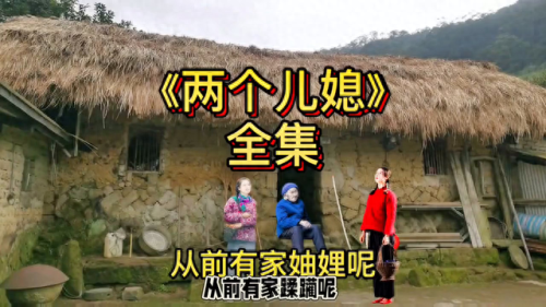 婆婆媳妇那些事2(婆婆媳妇那些事儿第6集)插图