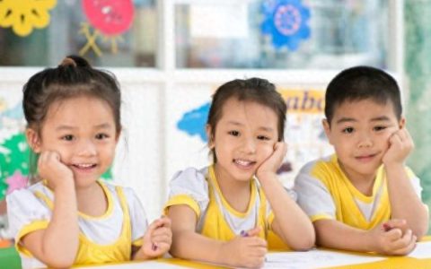 成都幼儿园中小学排名前十(成都高新区小学前30名排名)