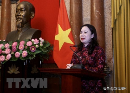 武氏集团(武氏集团石磊)插图