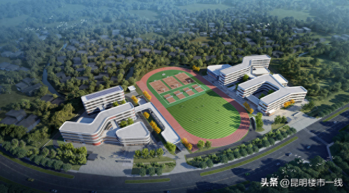 昆明西南小学排名前十(昆明十大最好小学排名)插图21