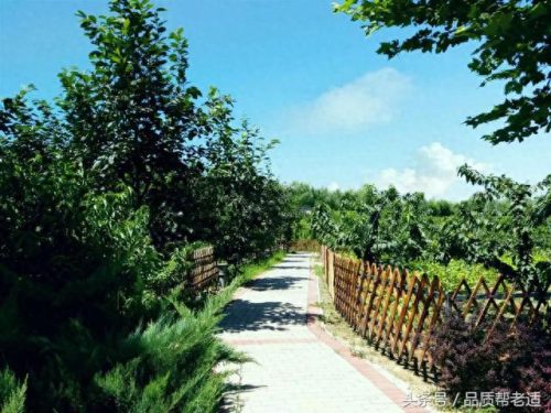 平房区排名前十敬老院地址(海淀高端敬老院照片)插图1
