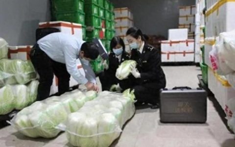 蔬菜行业排名前十(卖蔬菜属于哪个行业)