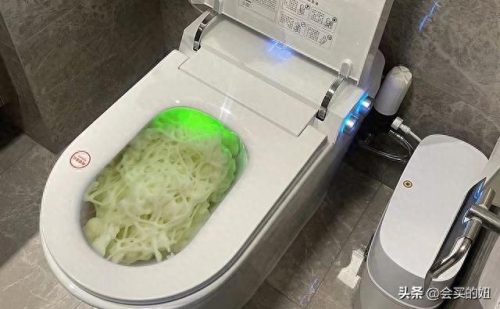 马桶智商排名前十(日本马桶盖智商)插图2
