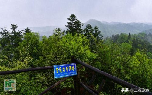 云雾庄园(逆水寒庄园云雾怎么不显示出来)插图12