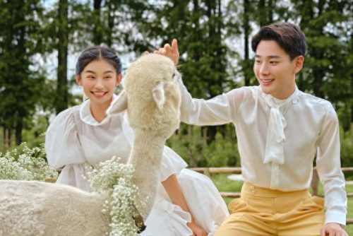 婚礼布置排名前十(婚礼布置30万完整版)插图3