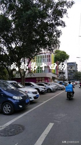 成都幼儿园中小学排名前十(成都高新区小学前30名排名)插图5