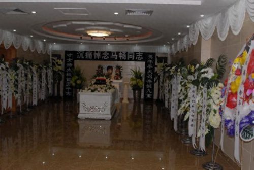 马畅太极拳(马畅老架一路完整版)插图6