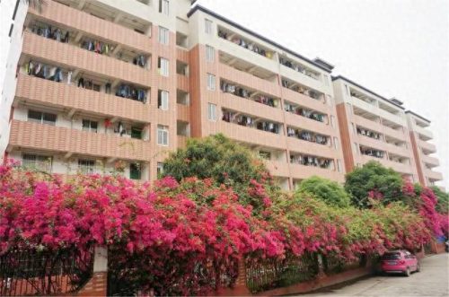 百色汽修学校排名前十(百色高中排名一览表)插图12