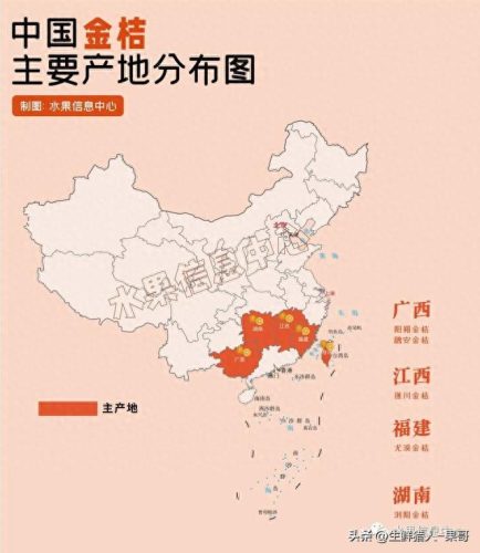 金桔品种排名前十(金桔哪些品种最好)插图3
