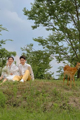 婚礼布置排名前十(婚礼布置30万完整版)插图4