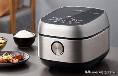 电饭煲年排名前十(电饭煲牌子排名前三名)插图