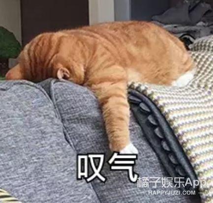 魏一宁小鱼(魏一宁离婚了吗)插图27