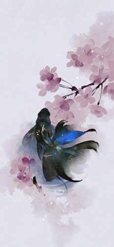 鱼鱼桌面秀(鱼鱼桌面秀侧边栏)插图38