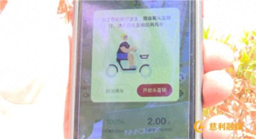 张家界电动自行车排名前十(倍特电动自行车排名)插图2