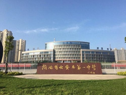 荆州中学排名前十(荆州最好的中学排名前十)插图4