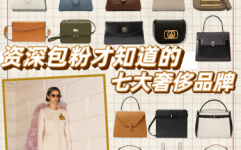 法国品牌箱包排名前十(法国女鞋品牌排行榜)