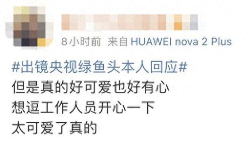 出镜央视绿鱼头本人回应(绿鱼头真实事件)插图6