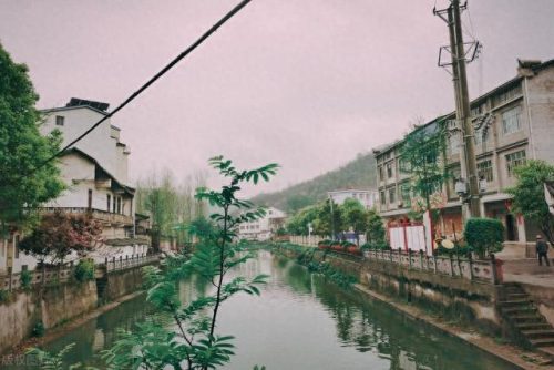 广西中老年旅行社排名前十(广西好的旅行社有哪些)插图