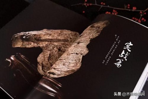 北京电视台天下收藏(北京电视台生活广角)插图4