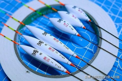 浮漂套装厂家排名前十(国内高档浮漂品牌)插图14