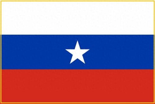 智利国旗(各国国旗)插图2