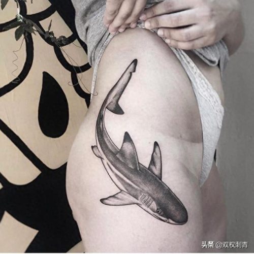 鲨鱼纹身排名前十(大鲨鱼纹身图片)插图7