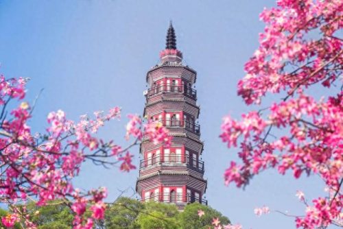 排名前十的古风(100首神仙级古风音乐)插图9
