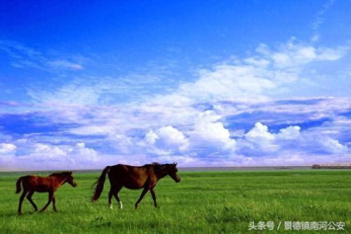 排名前十景点(日照旅游景点大全排名)插图3