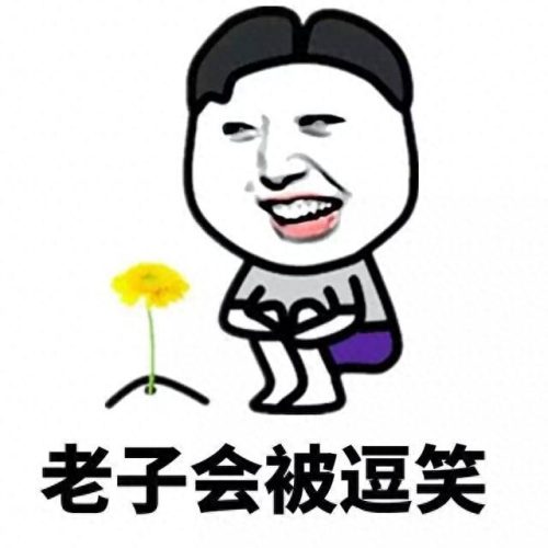 浙江椰子厂商排名前十(杭州椰子贸易)插图11