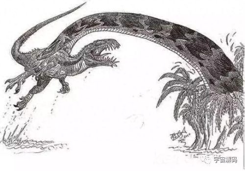 史前蟒蛇排名前十(史前蟒蛇电影在线观看)插图11