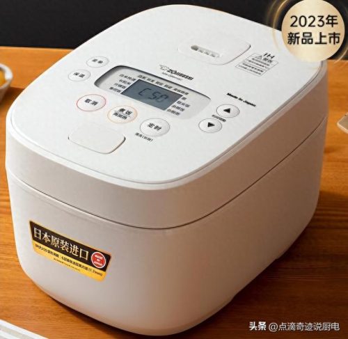 电饭煲年排名前十(电饭煲牌子排名前三名)插图10