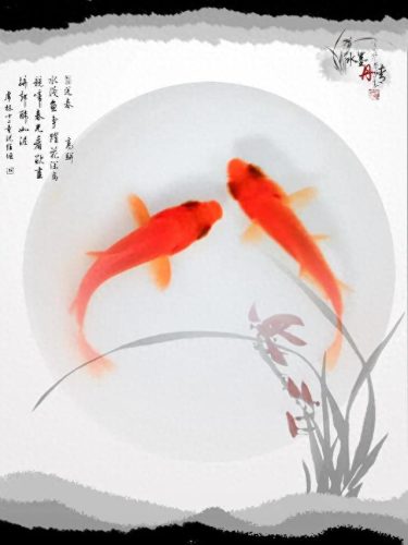 鱼鱼桌面秀(鱼鱼桌面秀侧边栏)插图22