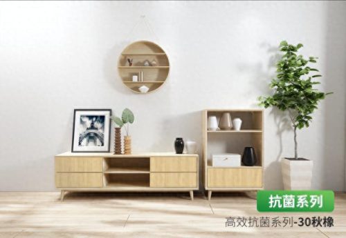 湖南木制家具厂家排名前十(湖南实木家具排名)插图15