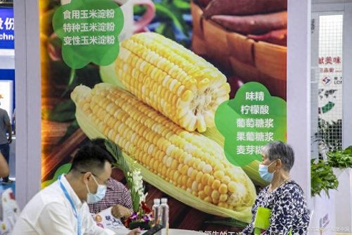 达州小吃排名前十(达州最好的小吃排行)插图2
