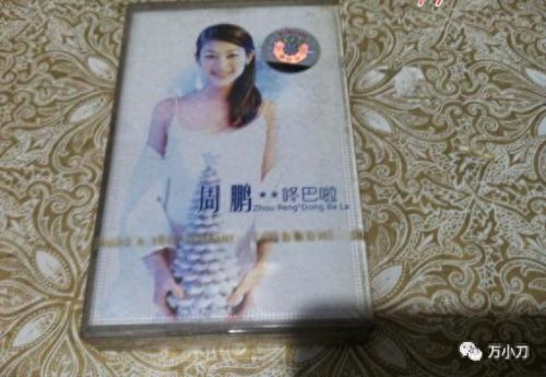 周鹏 自己美(周鹏为什么改名萨顶顶)插图3