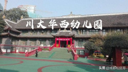 成都幼儿园中小学排名前十(成都高新区小学前30名排名)插图4