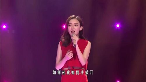 汪小敏整容前后照片(汪小敏容貌变化)插图12